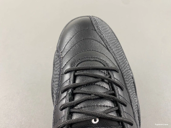 HYPE Jordan Air 12 130690-013 Retro Master The 0630